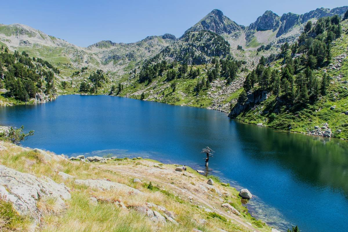 A person looking stressed in an office environment