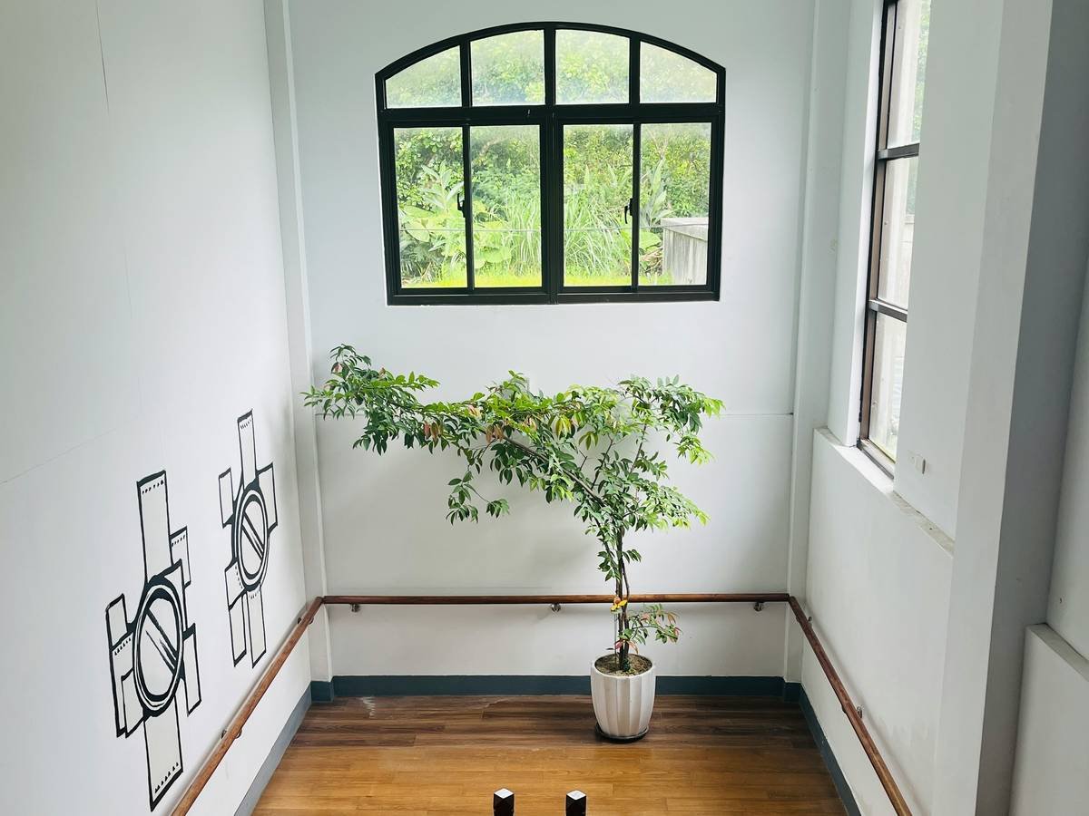 A person sitting cross-legged outdoors with a serene expression, surrounded by nature.