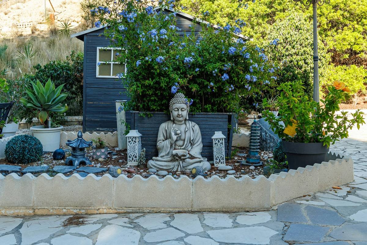 Mastering Zen Mindful Living Through Buddhify: The Ultimate App for Inner Peace