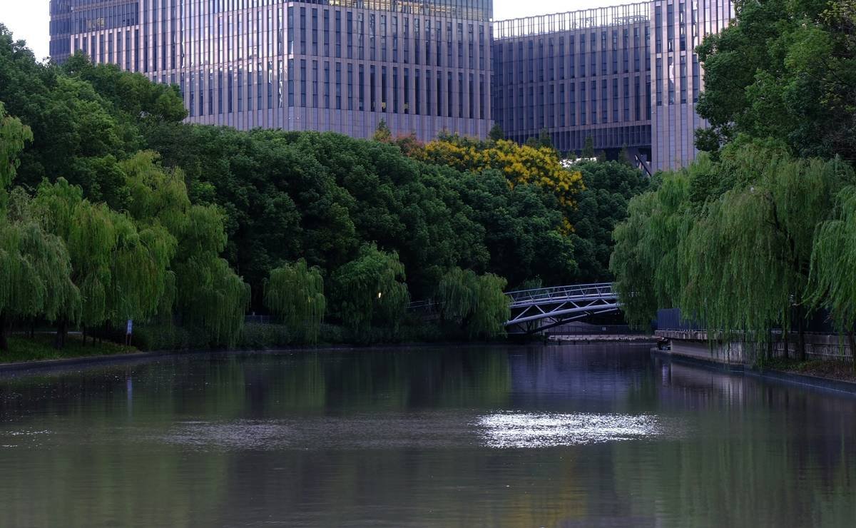 Screenshot of Buddhify dashboard displaying different categories