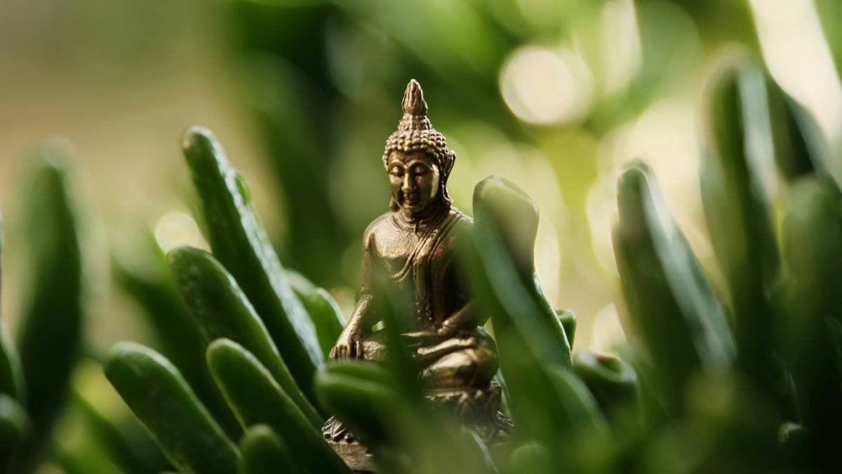 Screenshot showing the Buddhify homepage highlighting its simple interface.