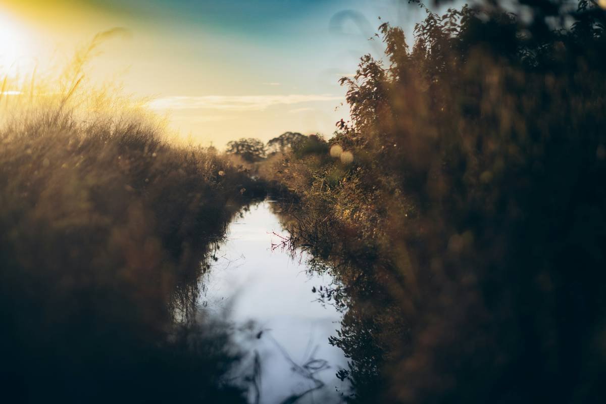 Illustration showing a person meditating at their desk surrounded by sticky notes and laptops