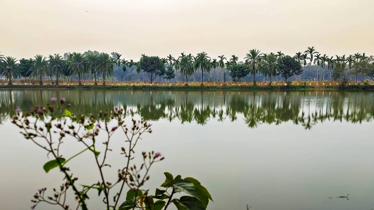 Smiling woman enjoying peaceful moment outdoors