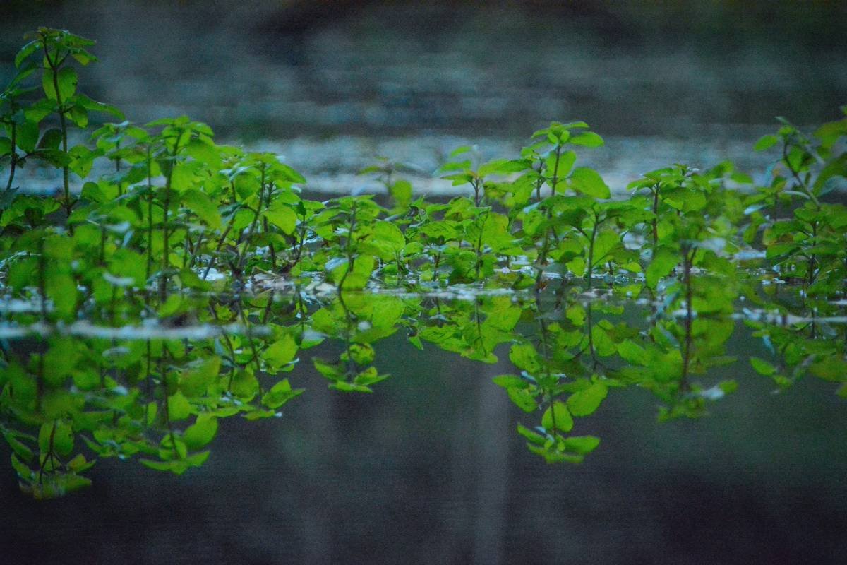 Someone meditating on public transport with buddhify app visible