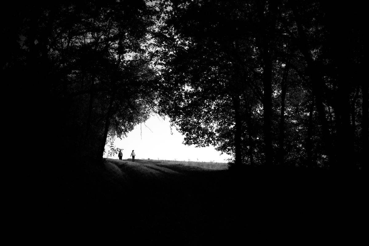 Buddhify Peaceful Journey: Your Mindfulness Companion for Busy Lives