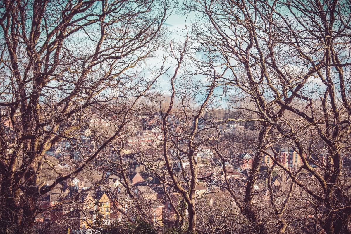 Meditation for Busy People: How Buddhify Can Be Your Pocket Zen Master