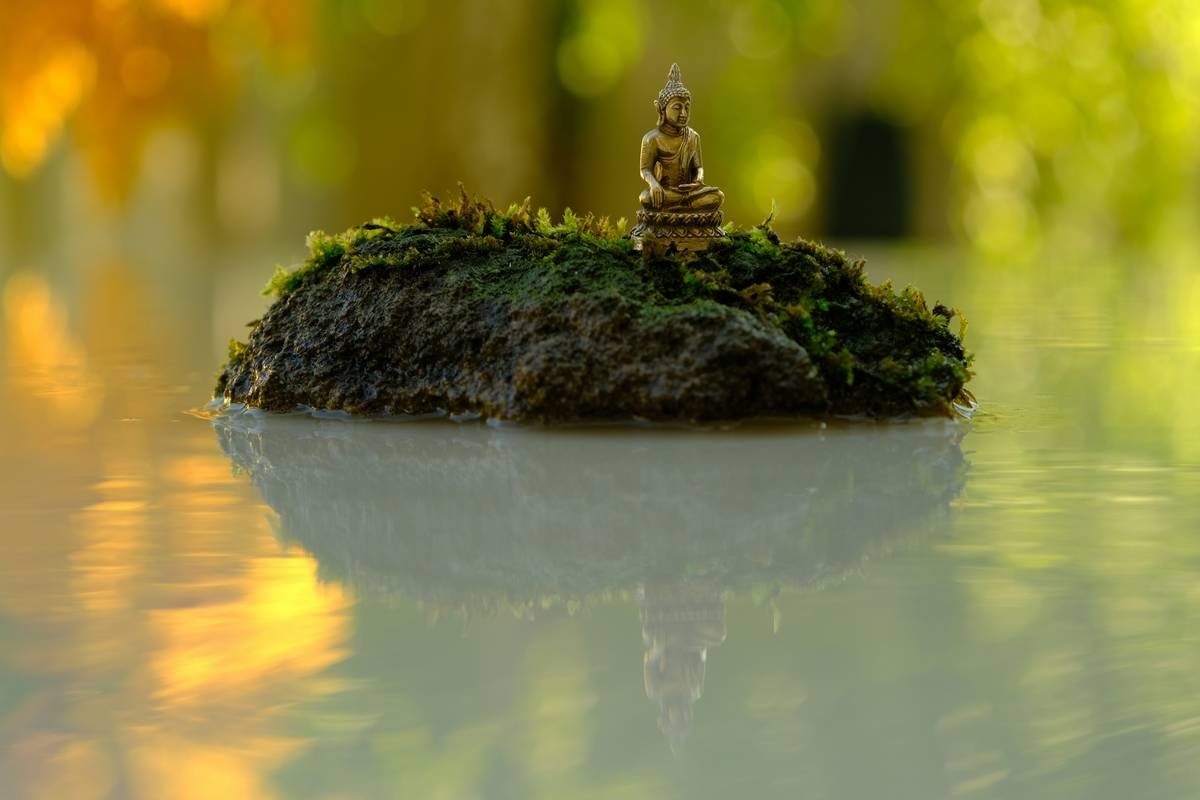The Ultimate Zen Clarity Guide: Mastering Mindfulness with Buddhify