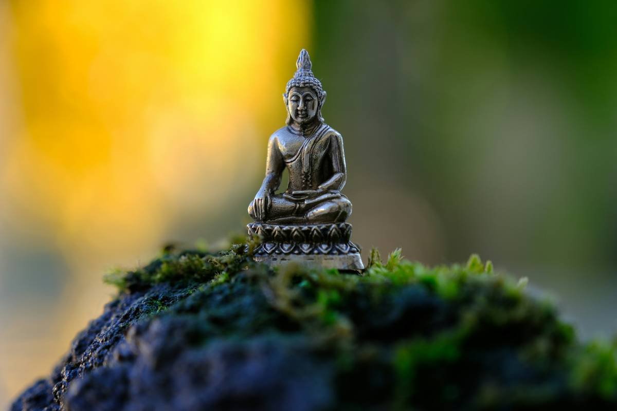 Zen Simplicity Guide: Mastering Mindfulness with Buddhify