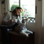 Morning Buddhify Reset: Start Your Day with Mindful Clarity