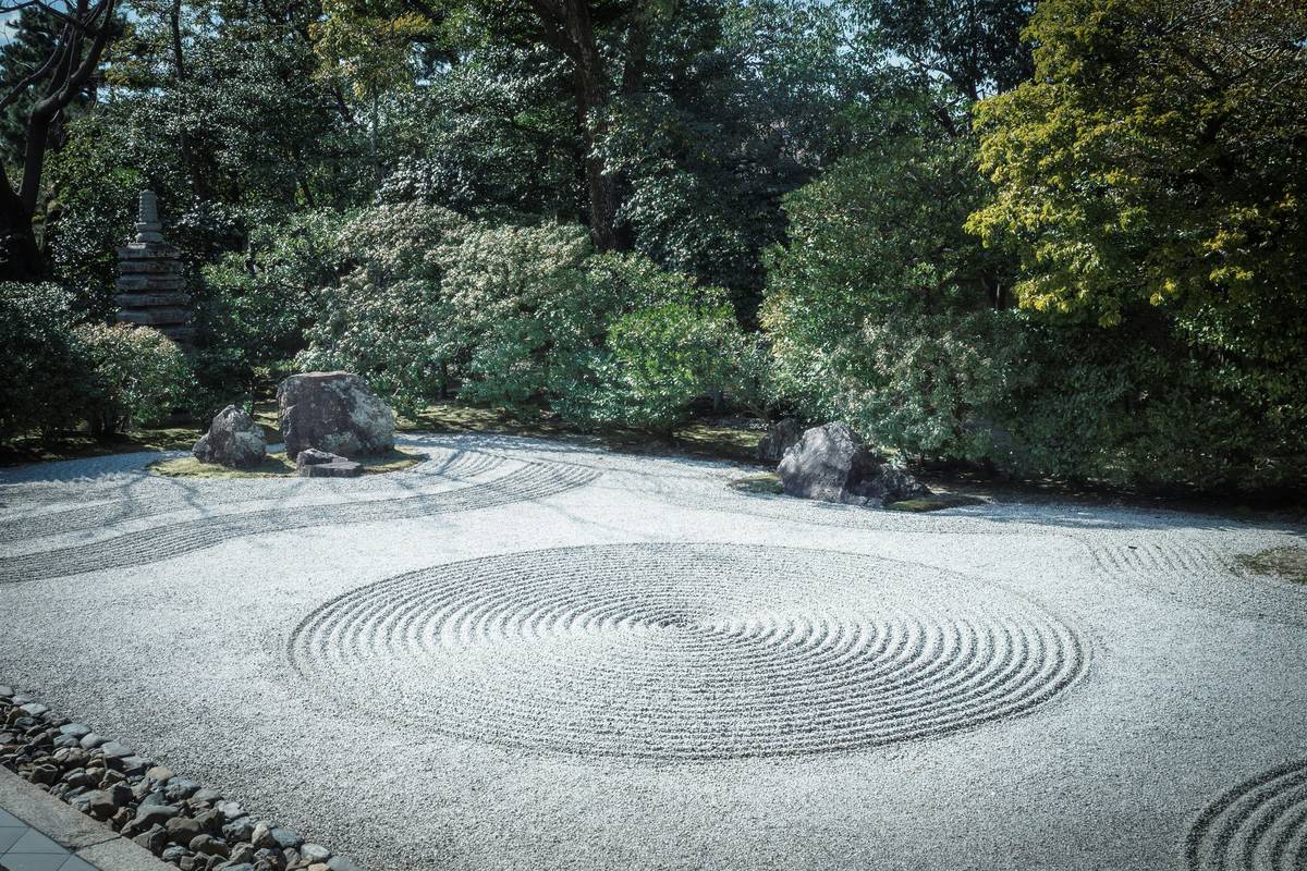 How the Reflective BuddhiFy Zen Path Can Transform Your Daily Mindfulness Practice