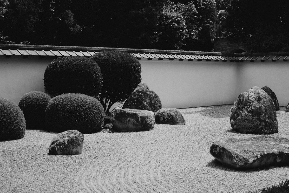 Intention-Setting Buddhify Zen: How to Start Your Day with Purpose (Not Panic)