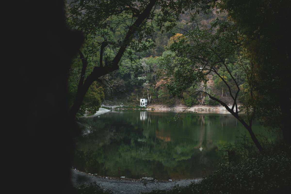 Quick Calm Meditation: Your 5-Minute Reset for Real Life (Backed by Science & buddhify)