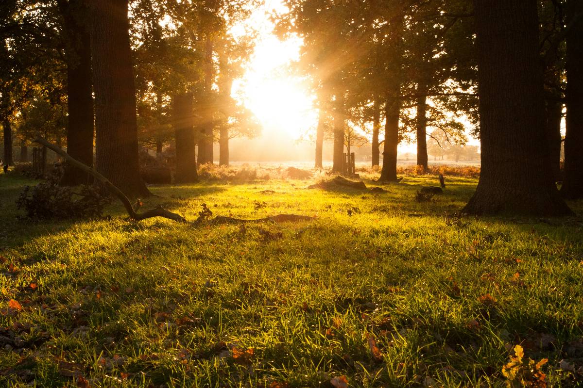 What If Zen Mindfulness Was Built for Real Life? Meet Buddhify